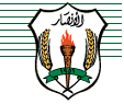 Al Ansar FC